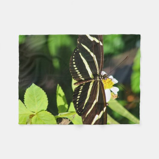 Zebra Longwing Butterfly Fleecedecke (Vorderseite (Horizontal))