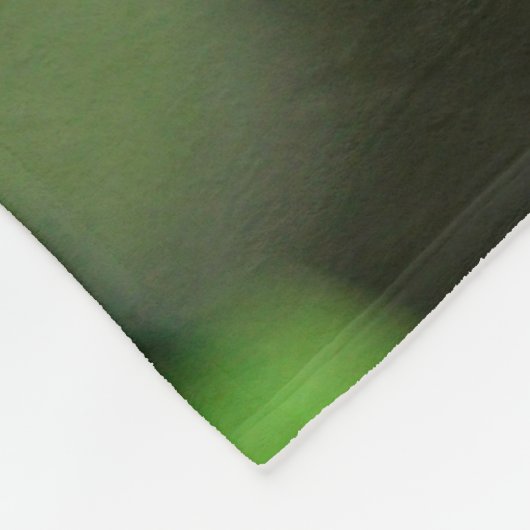 Zebra Longwing Butterfly Fleecedecke (Ecke)