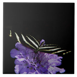Zebra Longwing Butterfly Fliese