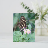 Zebra Longwing Butterfly Foto Postcard Postkarte (Stehend Vorderseite)