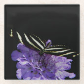 Zebra Longwing Butterfly Glasuntersetzer (Vorderseite)