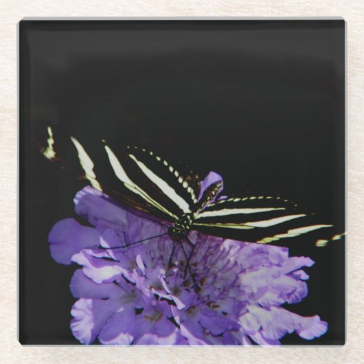 Zebra Longwing Butterfly Glasuntersetzer (Vorderseite)