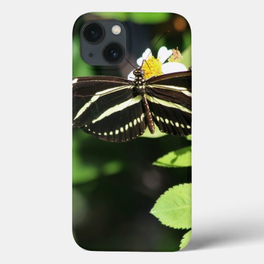 Zebra Longwing Butterfly iPhone Fälle Case-Mate iPhone Hülle (Rückseite)