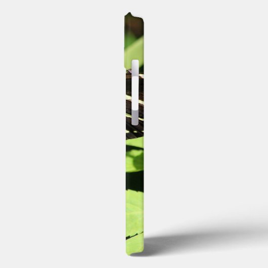 Zebra Longwing Butterfly iPhone Fälle Case-Mate iPhone Hülle (Rückseite / Links)