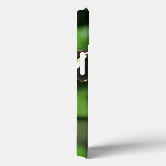 Zebra Longwing Butterfly iPhone Fälle Case-Mate iPhone Hülle (Rückseite / Rechts)