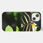 Zebra Longwing Butterfly iPhone Fälle Hülle (Rückseite (Horizontal))