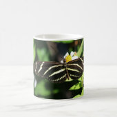 Zebra Longwing Butterfly Kaffeetasse (Mittel)