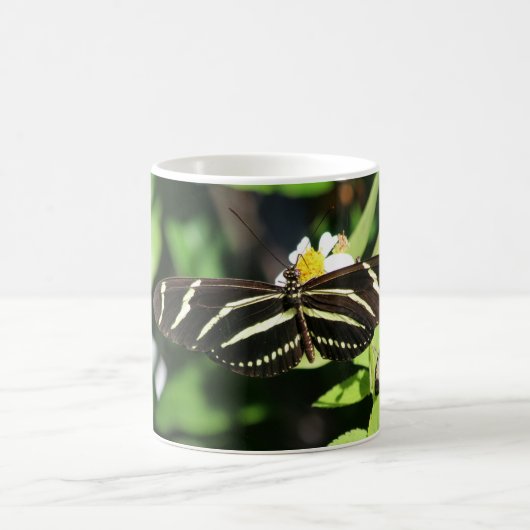 Zebra Longwing Butterfly Kaffeetasse (Mittel)
