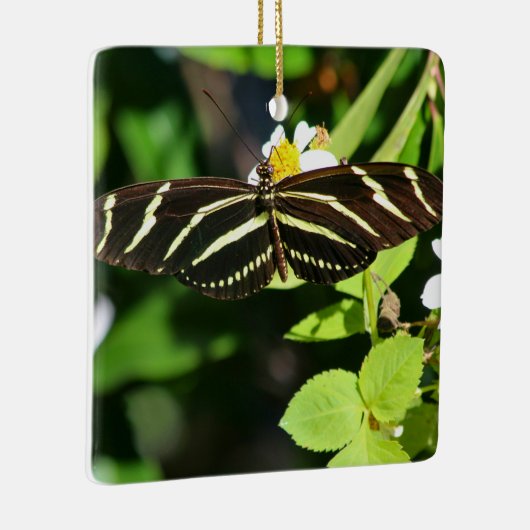 Zebra Longwing Butterfly Keramikornament (Rechts)