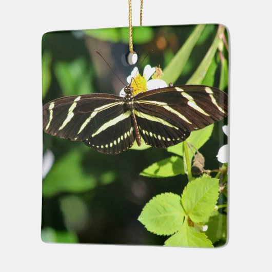 Zebra Longwing Butterfly Keramikornament (Links)