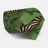Zebra Longwing Butterfly Krawatte (Gerollt)