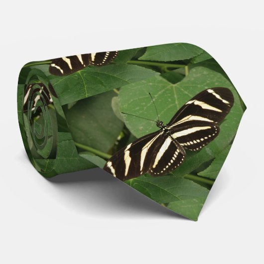 Zebra Longwing Butterfly Krawatte (Gerollt)