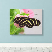 Zebra Longwing Butterfly Leinwanddruck (Insitu (Holzboden))