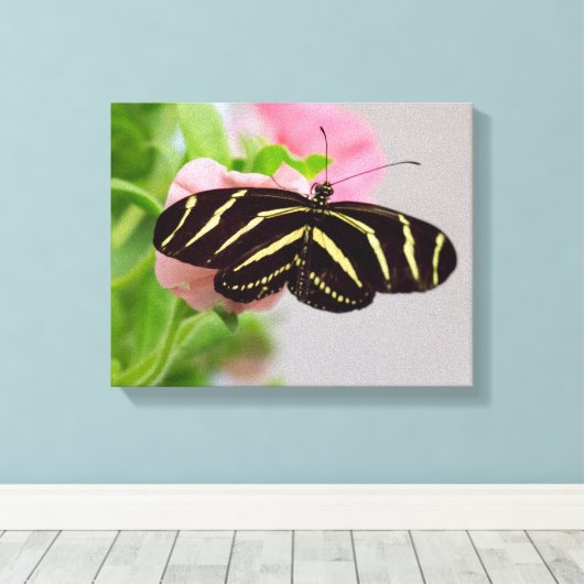 Zebra Longwing Butterfly Leinwanddruck (Insitu (Holzboden))