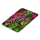 Zebra Longwing Butterfly Magnet (Linke Seite)