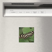 Zebra Longwing Butterfly Magnet (In Situ (Geschirrspüler))