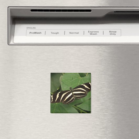 Zebra Longwing Butterfly Magnet (In Situ (Geschirrspüler))