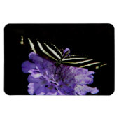 Zebra Longwing Butterfly Magnet (Horizontal)