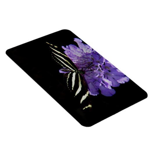 Zebra Longwing Butterfly Magnet (Rechte Seite)