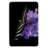 Zebra Longwing Butterfly Magnet (Vertikal)