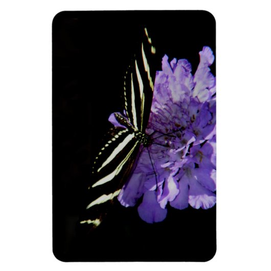 Zebra Longwing Butterfly Magnet (Vertikal)