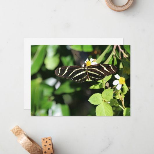 Zebra Longwing Butterfly Mitteilungskarte (Vorderseite/Rückseite Beispiel)