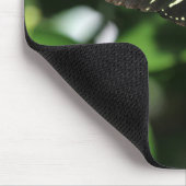 Zebra Longwing Butterfly Mousepad (Ecke)