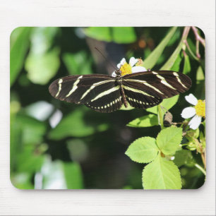 Zebra Longwing Butterfly Mousepad