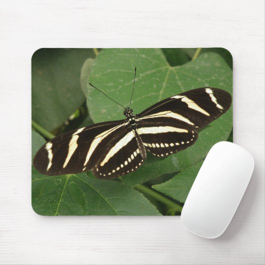 Zebra Longwing Butterfly Mousepad (Mit Mouse)
