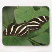 Zebra Longwing Butterfly Mousepad (Vorne)