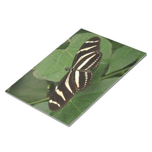 Zebra Longwing Butterfly Notepad Notizblock (angewinkelt)