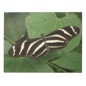 Zebra Longwing Butterfly Notepad Notizblock (Vorderseite)