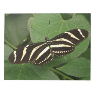 Zebra Longwing Butterfly Notepad Notizblock