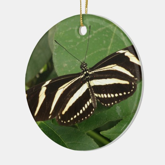 Zebra Longwing Butterfly Ornament (Links)
