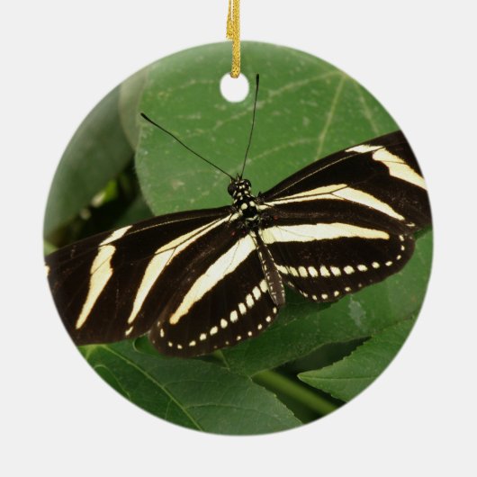 Zebra Longwing Butterfly Ornament (Hinten)