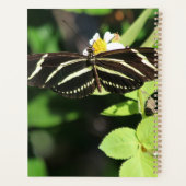 Zebra Longwing Butterfly Planer (Rückseite)