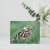 Zebra Longwing Butterfly Postcard Postkarte (Stehend Vorderseite)