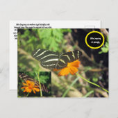 Zebra longwing Butterfly Postcard Postkarte (Vorne/Hinten)