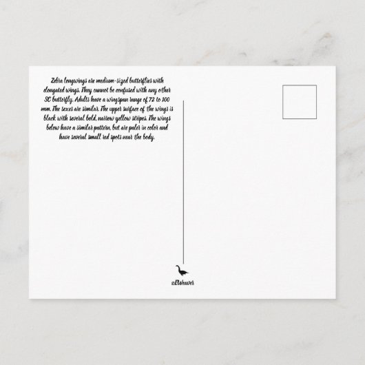 Zebra longwing Butterfly Postcard Postkarte (Rückseite)