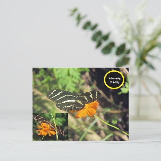 Zebra longwing Butterfly Postcard Postkarte (Stehend Vorderseite)