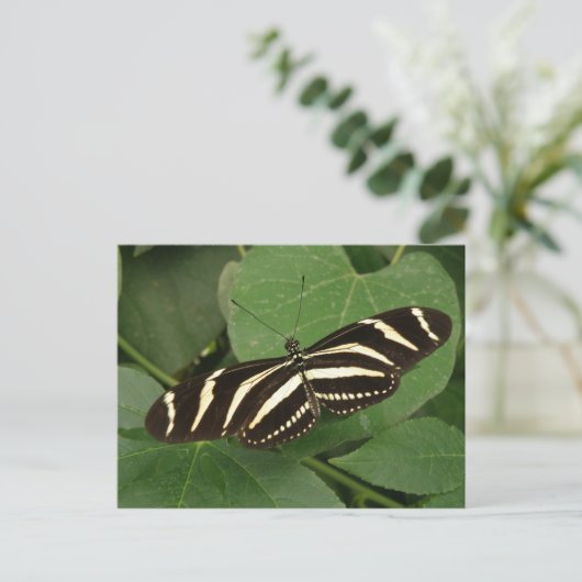 Zebra Longwing Butterfly Postcard Postkarte (Stehend Vorderseite)