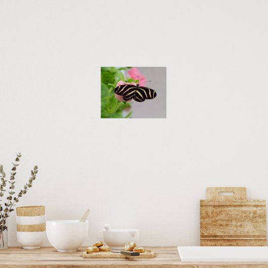 Zebra Longwing Butterfly Poster (Küche)