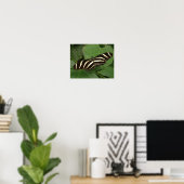 Zebra Longwing Butterfly Print Poster (Heimbüro)