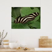 Zebra Longwing Butterfly Print Poster (Küche)