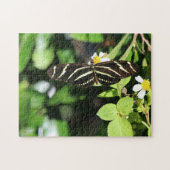 Zebra Longwing Butterfly Puzzle (Horizontal)