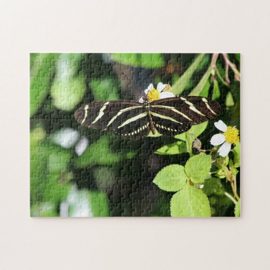 Zebra Longwing Butterfly Puzzle (Horizontal)
