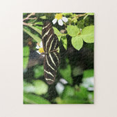 Zebra Longwing Butterfly Puzzle (Vertikal)