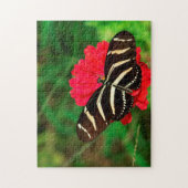 Zebra Longwing Butterfly. Puzzle (Vertikal)