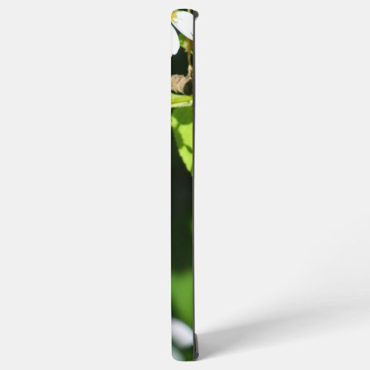 Zebra Longwing Butterfly Samsung Galaxy Hülle (Linke Seite)