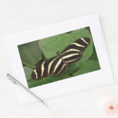 Zebra Longwing Butterfly Stickers (Umschlag)